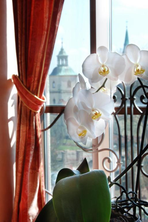 Hotel Basztowy Sandoměř Exteriér fotografie